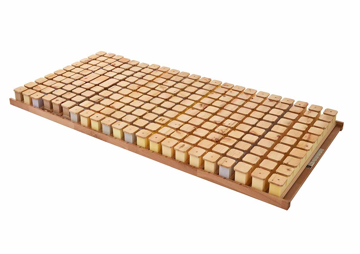 Schlafsystem mit Zirbenholztellern